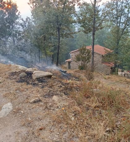 021c6f2e-2b8c-4e34-bbbb-3ae55864f714