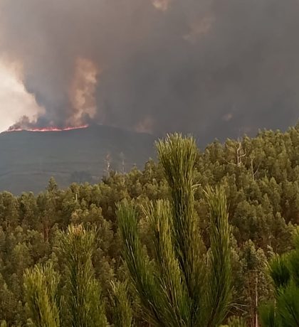 19d3cc96-726f-43bf-ad50-29a70882e4d5