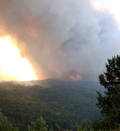 35189753-2393-41e8-bafb-41097ee5deed