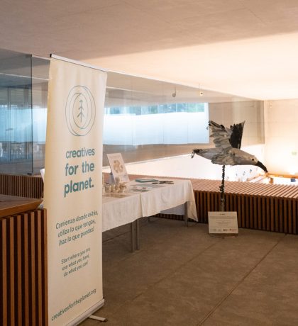 55159096154_9b57ef576b_o