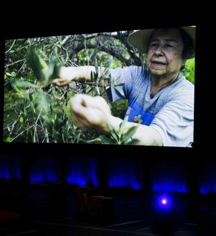 55159859455_9d9ae7b157_o