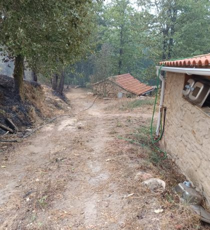 595a43b0-ea98-4ce4-8ad0-3d0f4033e7d9