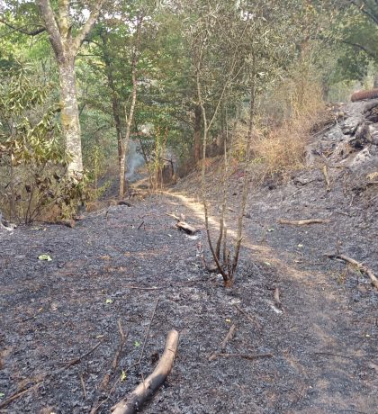 5b26662d-4c77-4316-bab6-0cdbc01143d9