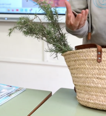 Bildschirmfoto 2026-01-22 um 17.30.44