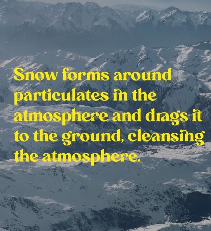 Kopie von _2162297A-CC5C-40BC-B3CD-E18E24DF086A