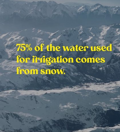 Kopie von _D38B99E6-2C83-45E7-B75E-0E813D2CED1C