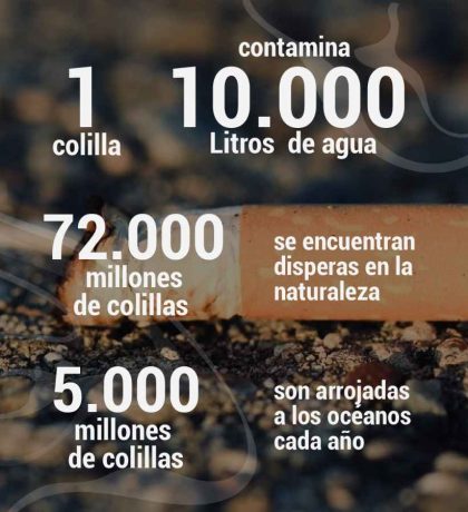 Kopie von _Mesa de trabajo 6_9_11zon