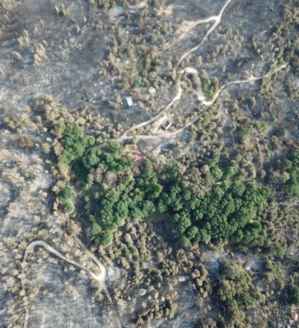 WhatsApp Image 2025-08-18 at 14.31.02