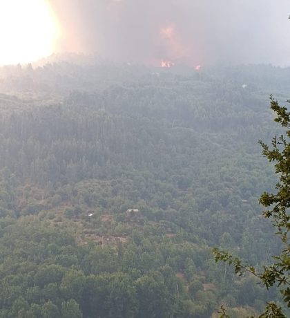 c5833938-de4a-4043-9d1e-f063920e72ff