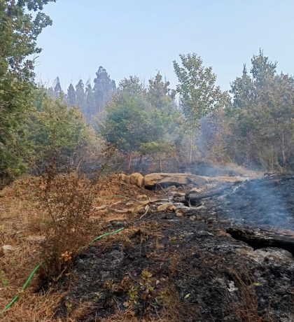 ccf61248-c9a4-495a-b434-d399eb00bced